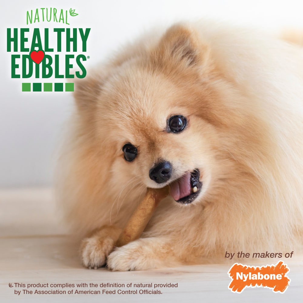Nylabone Healthy Edibles Chicken Dog Treats Regular (3pk) (4.9oz)
