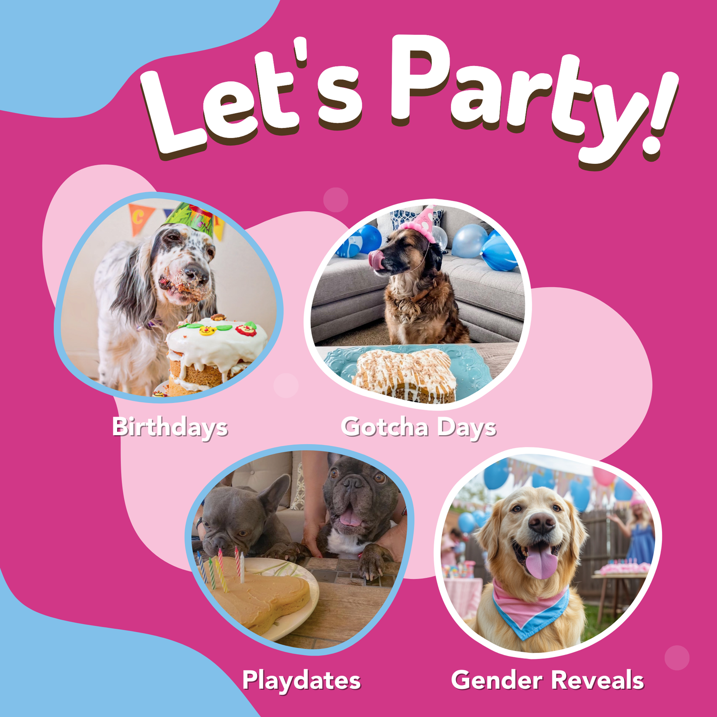 🎂🐾Dog Birthday Cake Kit