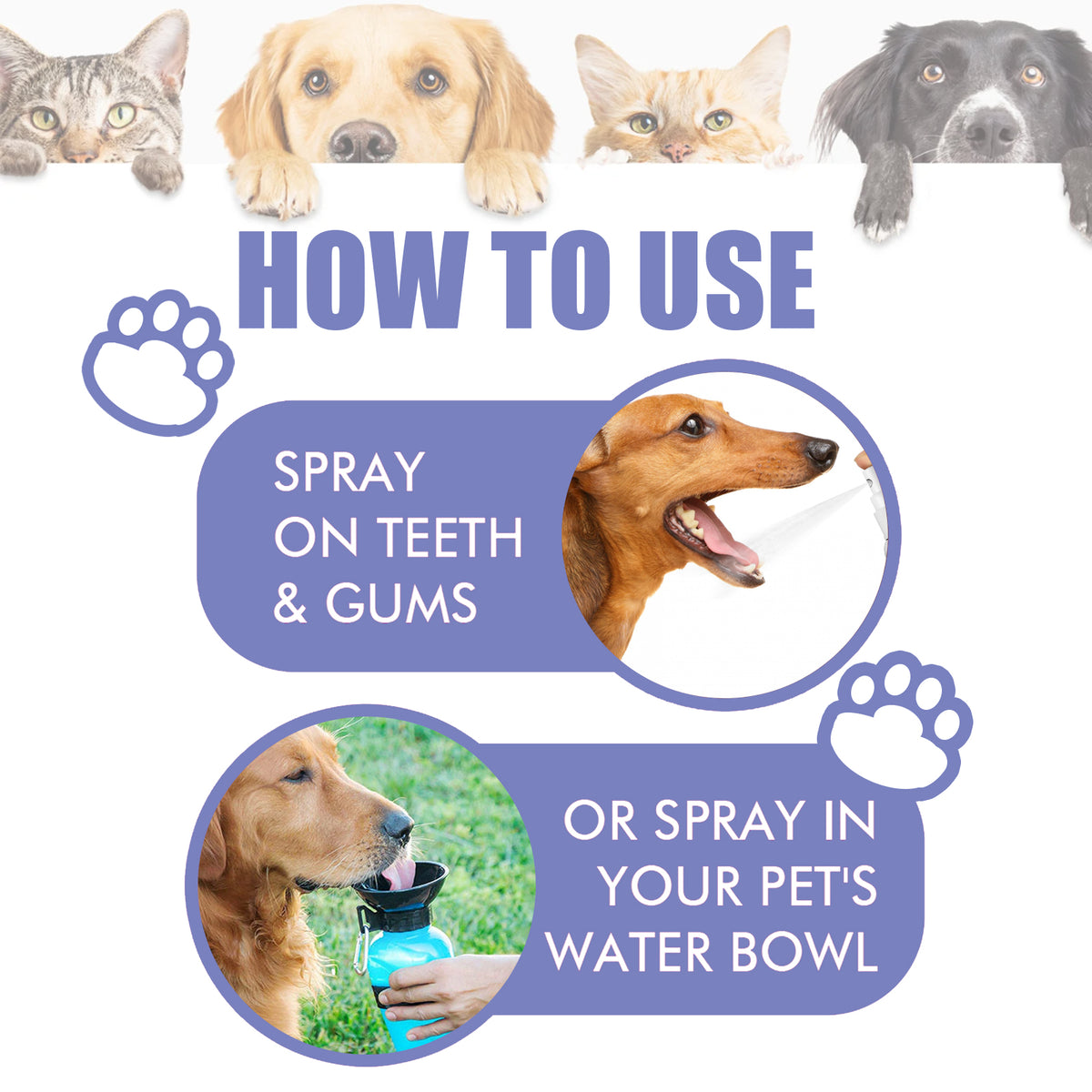 Yegbong Tooth Cleaning Spray For Cats And Dogs, Remove Tooth Stains Fresh Breath Pets Oral Care Spray