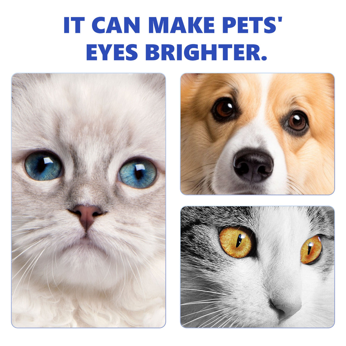 Yegbong Pet Eye Drops, Cats And Dogs Eye Cleaning Care Pet Eye Wash Tear Stain Remover