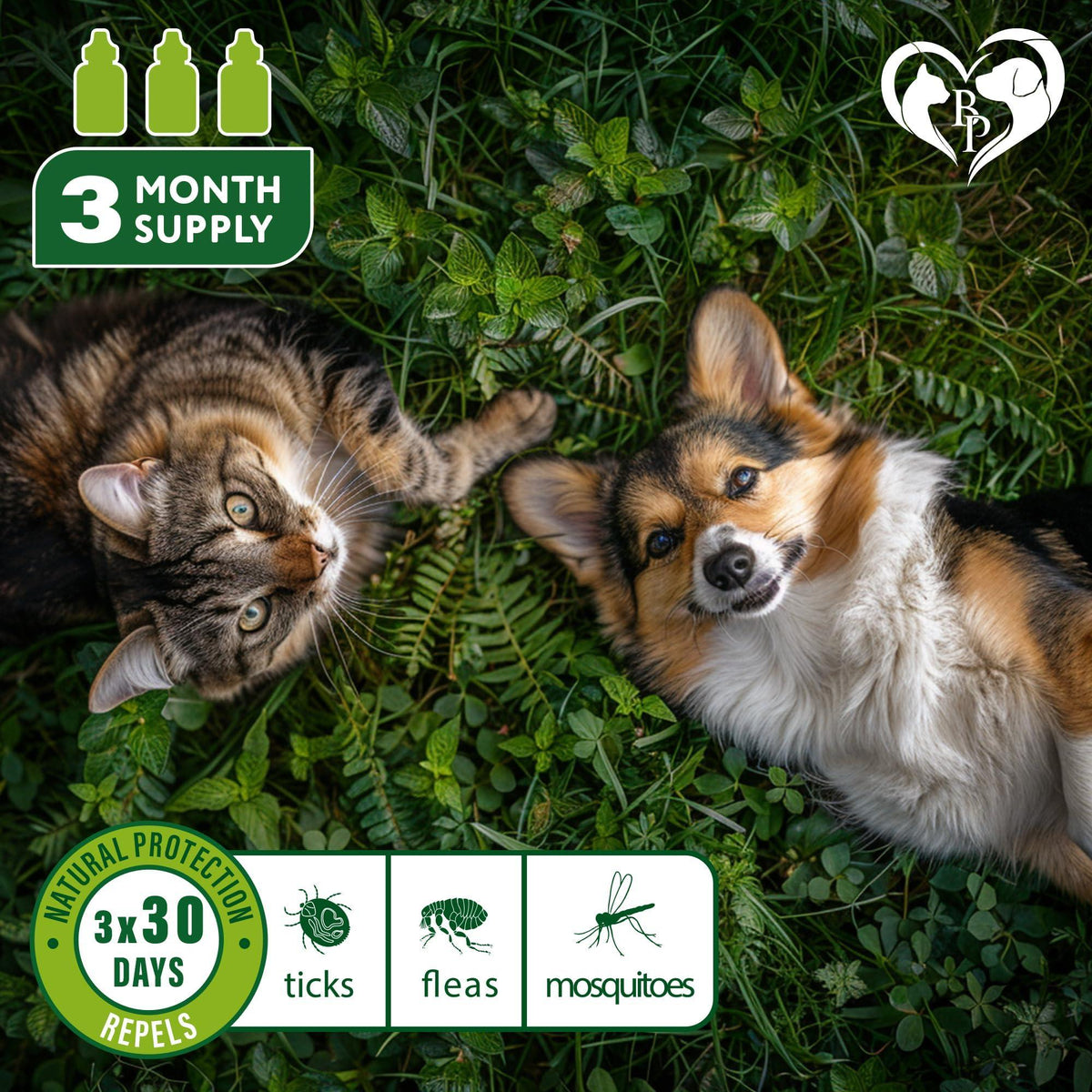Topical Flea & Tick Drops for Dogs Cats & Rabbits Mosquito Repellent