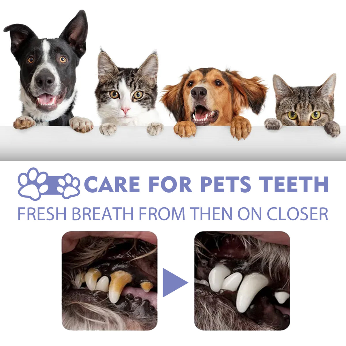 Yegbong Tooth Cleaning Spray For Cats And Dogs, Remove Tooth Stains Fresh Breath Pets Oral Care Spray