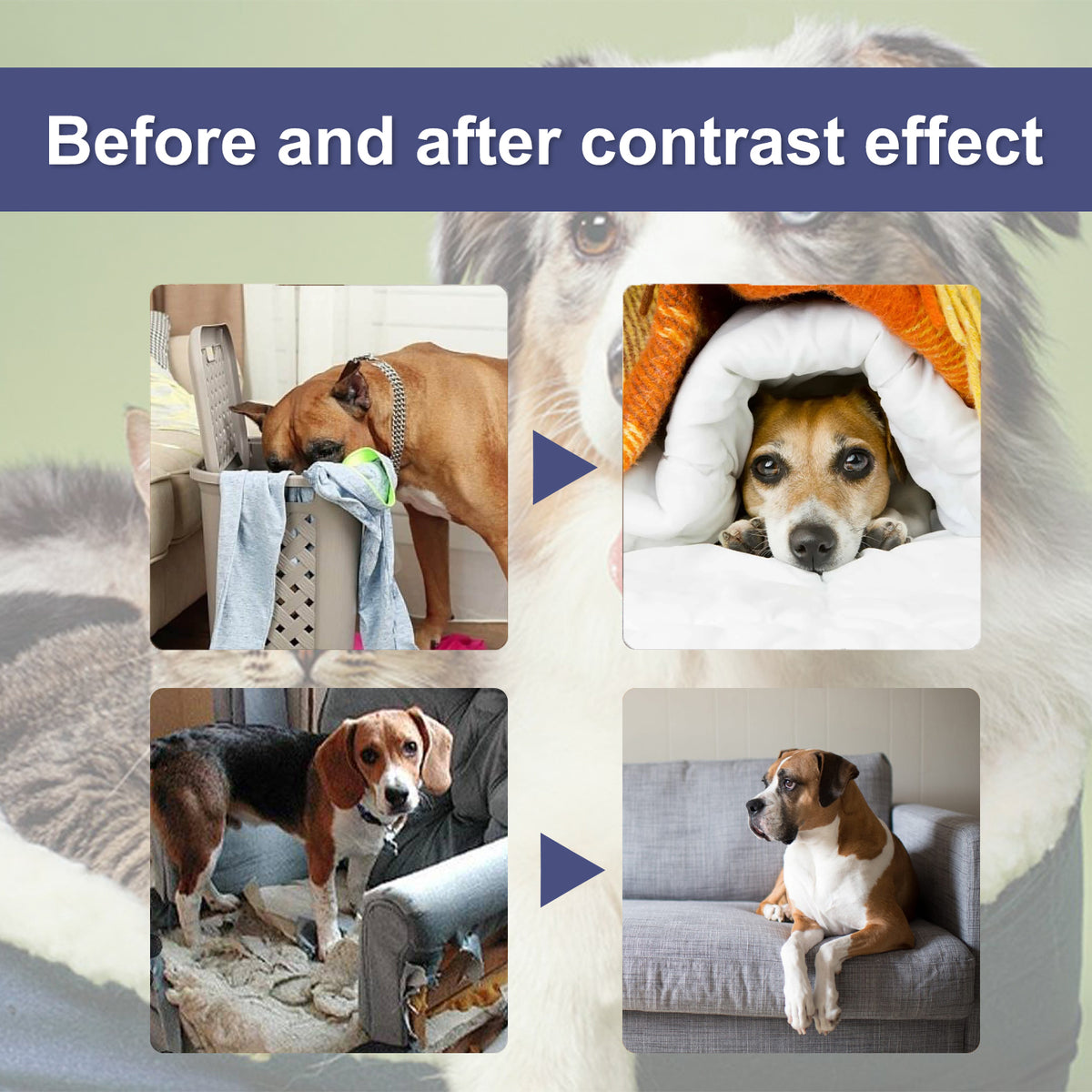 Yegbong Pet Bitter Anti-Biting Spray, Prevent Dogs Chewing Table And Chair Legs, Scratching Sofa Spray