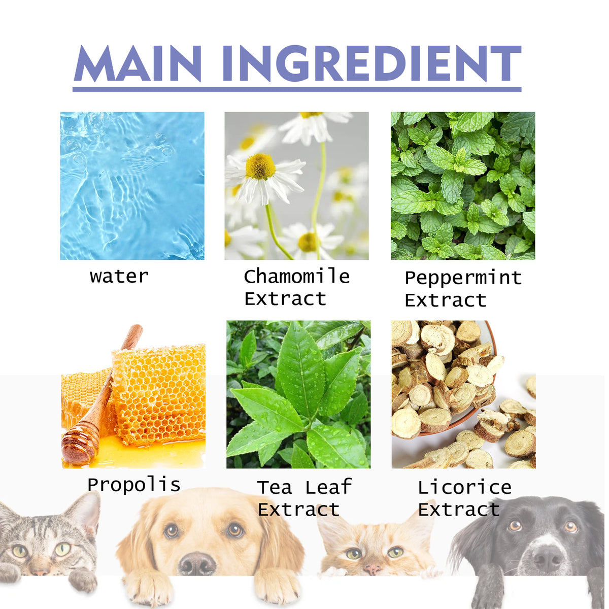 Dog And Cat Tooth Cleaning Spray, Pet Mouth Cleaning Breath Fresh Deodorizing Cleaning Spray